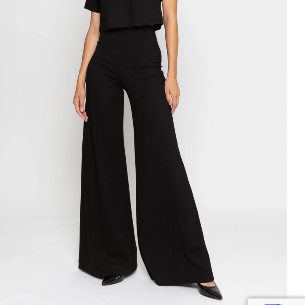 NWT Ripley Rader Black Ponte Knit Wide Leg Pant!